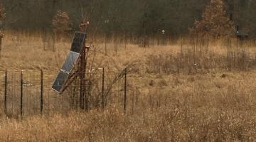 Seismographer reading P-waves in a field 